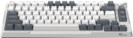 RK ROYAL KLUDGE RK H81 Wireless Bluetooth, Wireless Laptop-size Gaming Keyboard Compatible